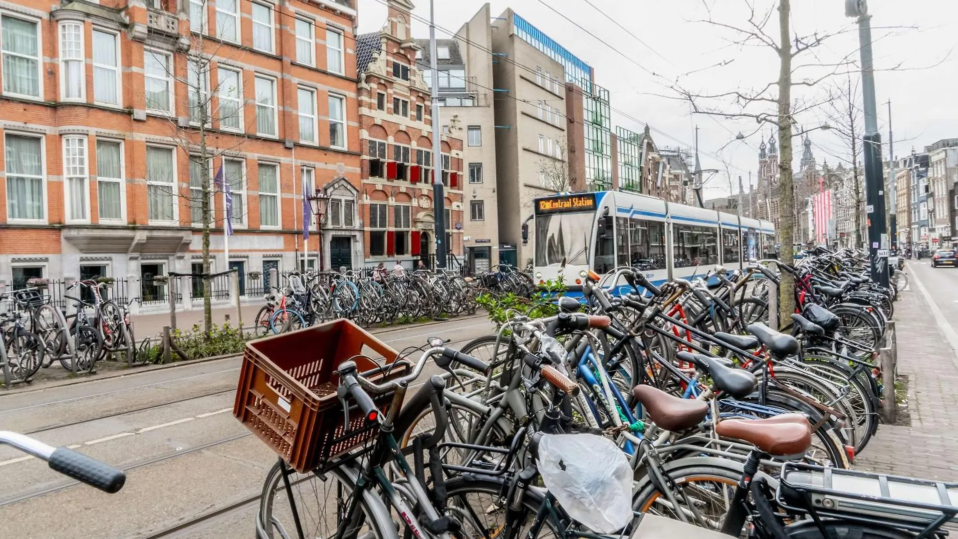 Suite Palette Amsterdam